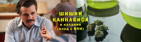Альфа ПВП Нея