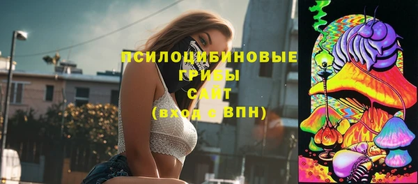 Альфа ПВП Нея